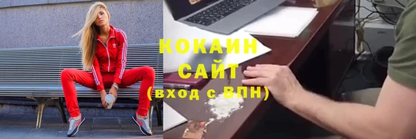 ГАЛЛЮЦИНОГЕННЫЕ ГРИБЫ Липки