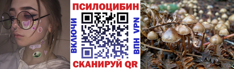 Галлюциногенные грибы ЛСД  Нестеровская 