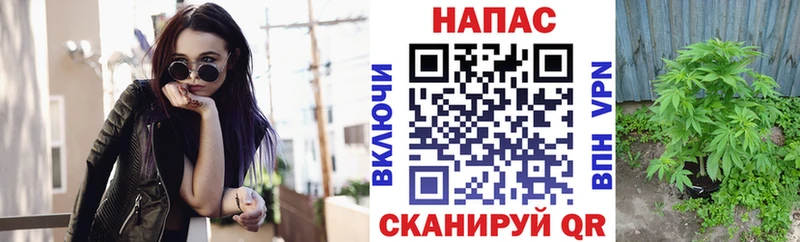 кракен ТОР  Нестеровская  Канабис AK-47  хочу  